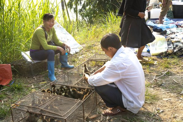 Comment acheter une maison quand on est pauvre ?